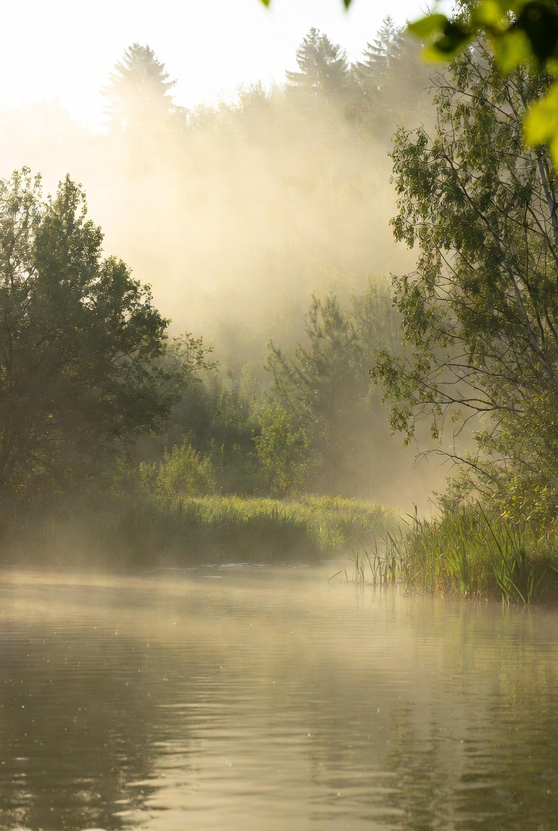 Secangkir Hangat dan Keheningan Malam: Ritual Kecil untuk Menutup Hari dengan Lembut